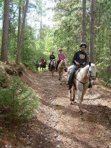 MaynoothCozy Cabin #2的一群骑马的人在土路下骑着