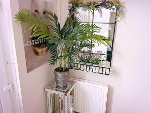 奥尔德姆Entire 3 Bed Home in Oldham的墙上有镜子和植物的房间