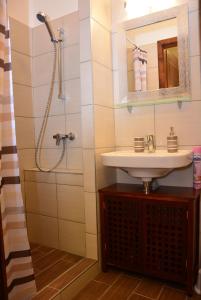 埃格尔Bodza Apartmanok的一间带水槽和淋浴的浴室