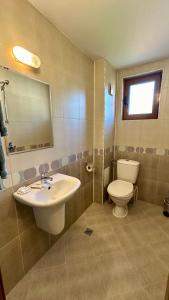 班斯科Kaloyanova House Bansko的一间带水槽、卫生间和镜子的浴室