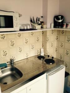 孔特雷克塞维尔皮亚琴察一室公寓的厨房配有水槽和微波炉