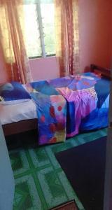 Kapeta Cabin客房内的一张或多张床位