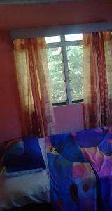 Kapeta Cabin的一间卧室设有一张床和一个窗口