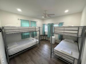 怀卢库Howzit Hostels的带吊扇的客房内的两张双层床