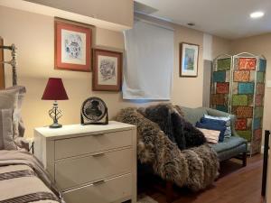 阿林顿Charming 1-bedroom Basement Close to DC Pets Allowed的一间卧室配有一张床、一张沙发和一个梳妆台