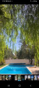 甘达坞伊港villa les oliviers的树下的大型蓝色游泳池