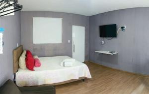 奥林匹亚OLÍMPIA APARTS Kitnet com cozinha e banheiro privativo PISCINA AQUECIDA的一间卧室配有一张带红色枕头的床和一台电视。