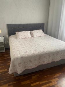 阿拉沙Apartamento até 8 pessoas Araxá Ótima localização的卧室内的一张带两个枕头的床
