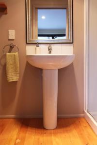  Lyttelton港湾山林小屋的一间带水槽和镜子的浴室