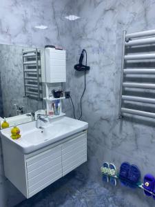 舍基Sheki Guest Villa的白色的浴室设有水槽和淋浴。