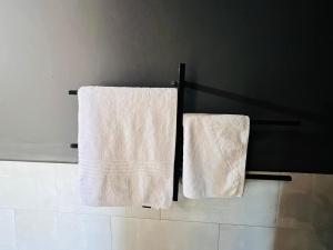 利隆圭The Shed Venue & Boutique Hotel的浴室内挂在衣架上的两条毛巾