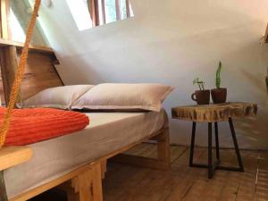 阿鲁沙Meru Eco Hideaway的一间卧室配有一张床和一张带仙人掌的桌子