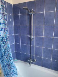 布鲁塞尔Cozy & Comfy House in Forest!的蓝色瓷砖浴室设有淋浴和浴缸