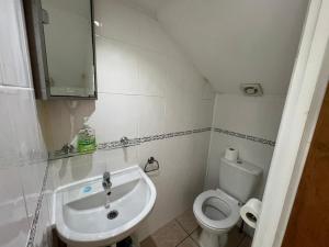 伦敦Stay in Bloomsbury1的一间带水槽和卫生间的小浴室