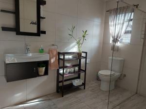 KraaifonteinVilla Mariss Guesthouse的一间带水槽、卫生间和淋浴的浴室