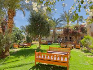 TunisZad El Mosafer Guest House的一个带长椅和桌子的公园,棕榈树