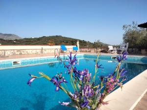 伊特里Casale di Valle Fredda的前方的蓝色水和紫色花的游泳池
