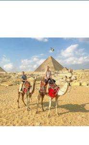 开罗Falcon pyramids inn的两个骑骆驼的人在金字塔前