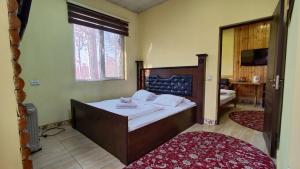 杜尚别Diamond Hotel Dushanbe的一间卧室设有一张床和一个大窗户