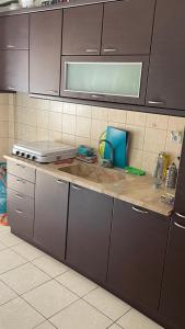 塞萨洛尼基Friendly guest house的厨房配有棕色橱柜和台面