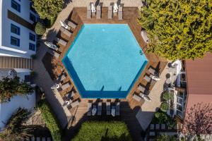 博德鲁姆博德鲁姆哥斯达酒店的享有带躺椅的游泳池的顶部景致