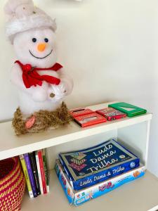 南圣弗朗西斯科Suítes Recanto Monte trigo的坐在书架上的一个雪人