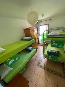 阿德耶The Best House Tenerife Habitaciones Compartidas的一间设有绿色双层床的客房