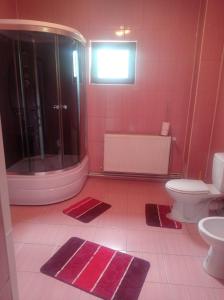 StoeneştiCasa de Vacanta Eva的粉红色的浴室设有淋浴和卫生间