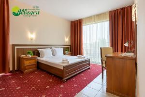 金沙Hotel Allegra Balneo & SPA的配有一张床和一张书桌的酒店客房