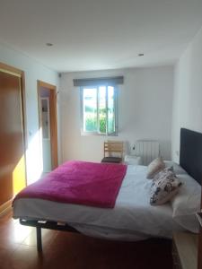 拉科鲁尼亚Alojamiento PLAYA DE PANTIN的一间卧室配有一张大床和紫色毯子