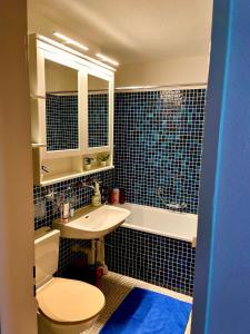 埃尔嫩Aragon lodge的浴室配有卫生间、盥洗盆和浴缸。