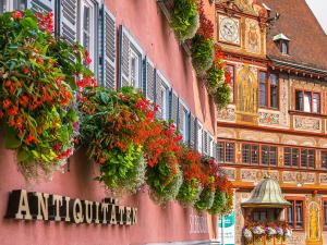 蒂宾根City Apartment Tübingen-Lustnau的花朵繁多的建筑