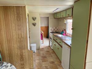 DernacallyDonegal Cabin with Hot tub Option的厨房配有绿色橱柜和台面