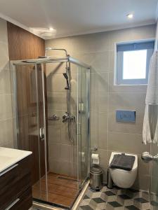 塞奥洛戈斯Ayit Hotel的一间带卫生间和玻璃淋浴间的浴室