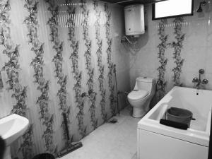 萨哈兰普尔Shunye lodge的一间带卫生间和淋浴帘的浴室