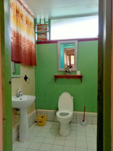 Baclayon301号别墅住宿加早餐旅馆的绿色浴室设有卫生间和水槽