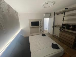 利多迪耶索罗Attico Sole的小房间设有一张床和一台电视机