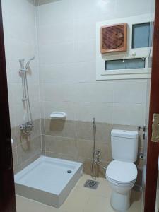 Damanhûrفندق حياة دمنهور - Hayat Hotel Damnhour的一间带卫生间和淋浴的浴室