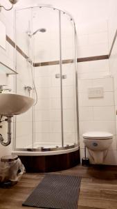 巴特弗赖恩瓦尔德Hotel-Garni "Zum Löwen"的带淋浴、卫生间和盥洗盆的浴室