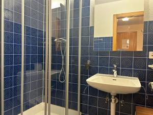 韦松纳Combyre COMFORTABLE & CENTER apartements的蓝色瓷砖浴室设有水槽和淋浴