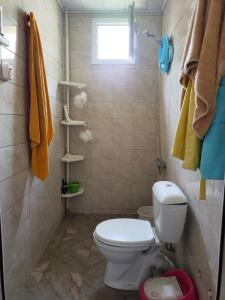 巴库Family House at Baku Olympic Stadium的浴室配有白色卫生间和淋浴。