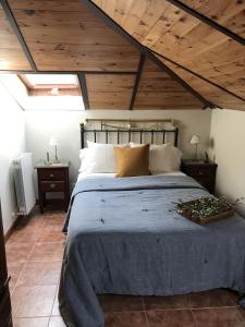 Pinilla de los BarruecosChanin I的一间卧室设有一张大床和木制天花板。