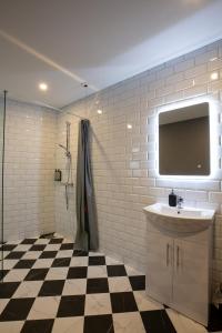 戈尔韦The Abbeygate Townhouse的一间带水槽的浴室和一台平面电视