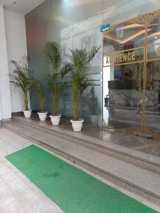 新德里Hotel Ambience Palace Near IGI Airport Delhi的一组盆栽植物,位于一座建筑物的内侧