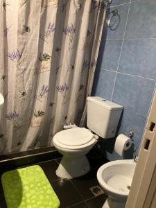 门多萨Departamento Lemos的一间带卫生间和淋浴帘的浴室