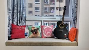班加罗尔SOLACE Premium 3BHK Apartment Manyata Tech Park and Mall of Asia的一只狗坐在沙发上,沙发上,有枕头和吉他