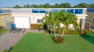 圣安斯贝Villa in Drax Hall, Private Beach, Chef Incl的棕榈树房屋的空中景致