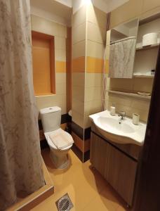 约阿尼纳阿吉尔克里玛公寓式酒店的一间带卫生间和水槽的浴室