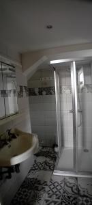 SeurreManoir de la Saône的带淋浴、盥洗盆和卫生间的浴室