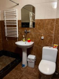 沃罗赫塔Khatky Na Penkakh的一间带水槽、卫生间和镜子的浴室